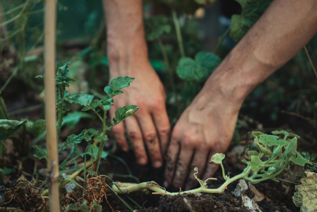 Landscaping And Grounds Maintenance